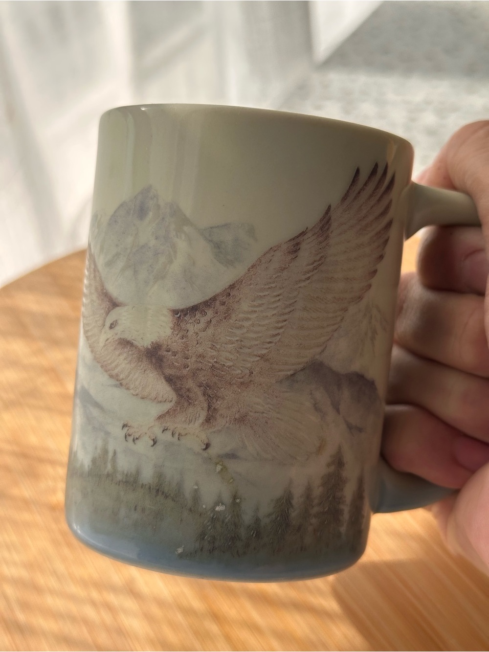 Otagiri Soaring Eagle Scenic Mug